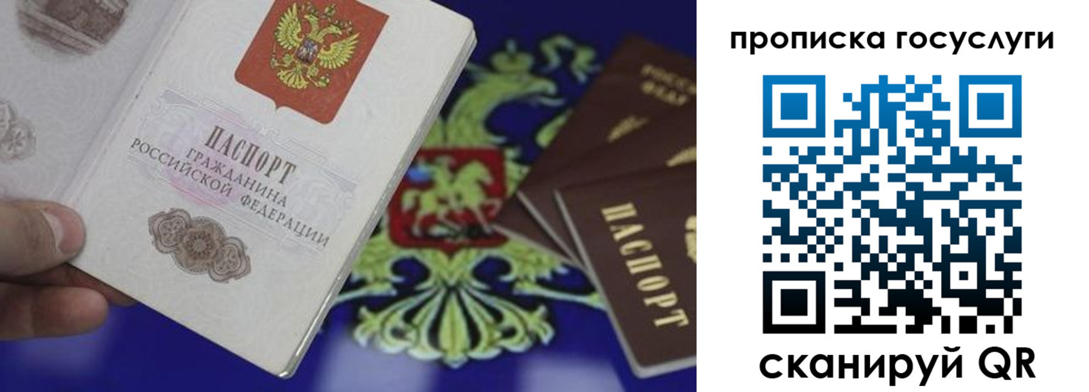 прописка для школы в Электрогорске